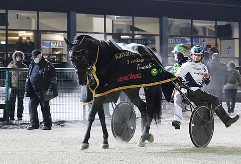 3-vuotiaiden tammojen Kasvattajakruunun voittajana juhlittiin viime vuonna An-Dorraa.