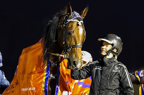 Johanna Kyläkosken hoitama Don Williams voitti marraskuussa Vermossa ravatun Kavioliiga GP:n.