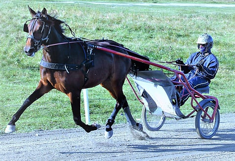 Harjoitusotteidensa puolesta Dixie Garline olisi Roni Paldanin mukaan starttivalmis koska tahansa, mutta kiirettä ei pidetä.