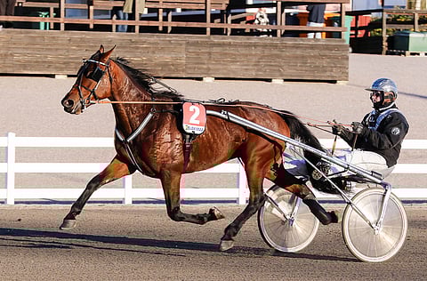 Ranch The Rock kilpaili aikaisemmin Christa Packalénin ja Niki Finnströmin (kuvassa) treenistä.