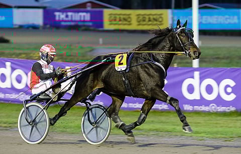 Skyfall Shine on palannut radoille. 31 kilpailua ovat tuoneet nyt 16 ykkössijaa. Arkistokuva: Anu Leppänen.