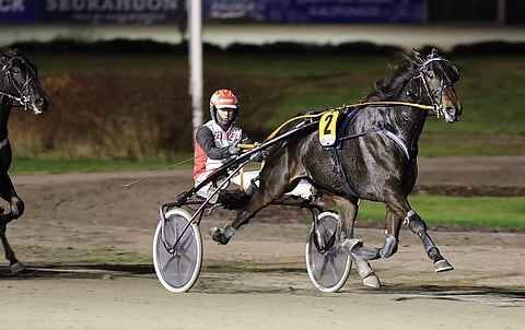 Skyfall Shine hallitsi Jokimaa Tekee Tähtiä -kilpailun finaalia vuosi sitten.