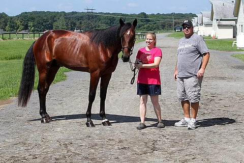 Southwind Spirit ravasi kaksivuotiaana 13 starttia totosijoin 6-3-2 ja tienasi reilut 370 000 dollaria.