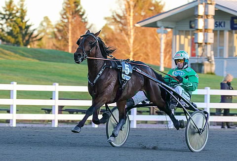 Time Matchin kolmivuotiskausi päättyi hieman ennenaikaisesti.