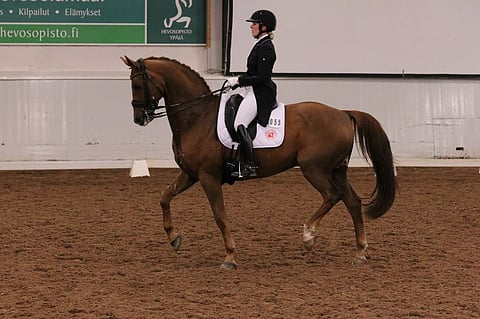Kansainvälinen kouluratsastuskausi siirtyy myöhempään kevääseen myös Denzelillä ja Anna von Wendtillä.