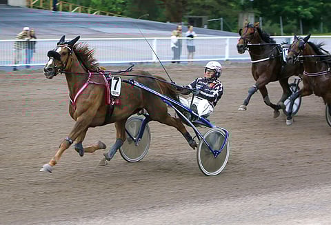 Chique näytti vastustajille takakavioitaan vuosi sitten kesällä Vermossa, mutta sen jälkeen menestys on ollut vaisumpaa.
