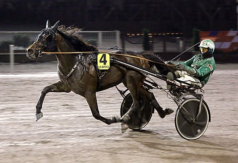 Time Match on aloittanut uransa väkevästi.