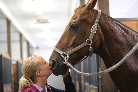 Anna von Wendt on palannut taas Denzelin satulaan.