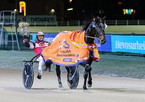 Grainfield Aiden lähtee metsästämään lämminveristen avoimen lähdön voittoa Rovaniemelle.