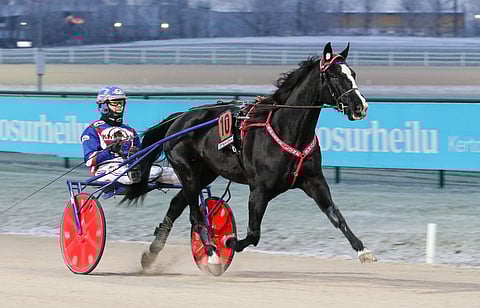 Viime vuonna 11 kertaa voittanut Selene Lune on Vermon kierroksen paras varma.