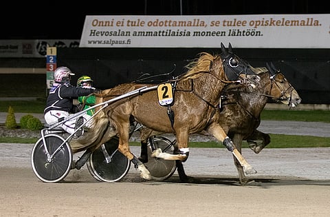 Vietävän Patukka kiri Jokimaalla seitsemän kertaa tällä kaudella voittaneen Savon Kingin ohi. "Sanoinkin Torviselle, että meinaatteko te kolmannen kerran voittaa meidät, mutta ei sentään", Vietävän Patukan omistajan edustaja Kari Florin naurahti. Kuva: Iita-Maria Ahtiainen.