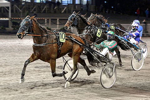 Credit To Love ja Jukka Torvinen ovat tiistain Toto5-rivin luotetuin valjakko.