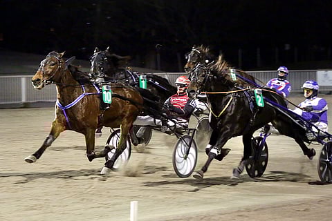 Mainio on voittanut kahdesti Vermossa. Tuoreempi irtosi joulukuussa 2020 takarivin lähtöpaikalta Santtu Raitalan ajamana.