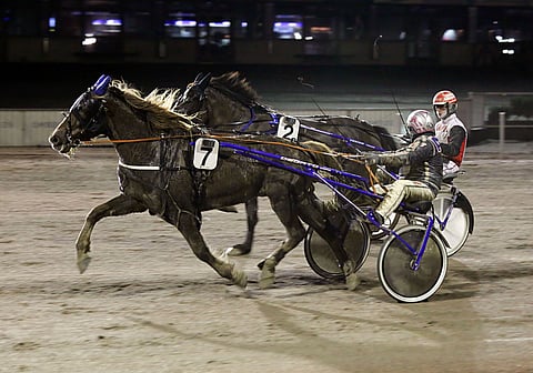 Rallin Muisto tunnetaan voimistaan.