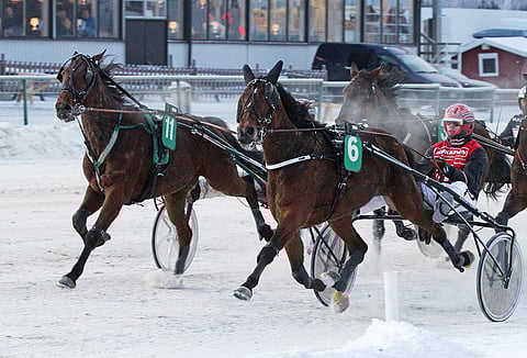 Ghaliya Web on aloittanut kautensa komeasti, neljästä startista on kolme voittoa. Kuva vuodelta 2019.