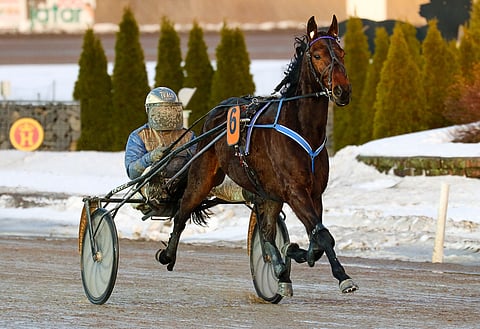 Hazelhen Hermes on yllätysvalmis Kavioliigassa, kunhan lähdössä vain pidettäisiin tempoa.