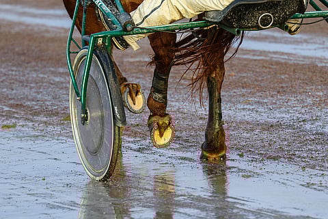 Kevätkelit tuovat tuttuun tapaan haasteita radanhoitoon. Kuvituskuva: AL