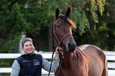 Mascate Match palkittiin Vuoden hevosena ja sen hoitaja Hanna Rakkolainen Vuoden hevosenhoitajana.
