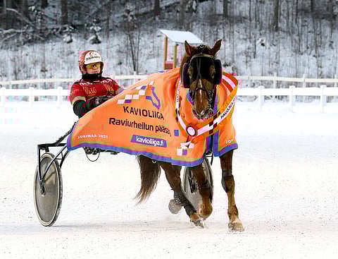 Tapio Perttunen ajoi kotiradallaan Jokimaalla voiton Morisonilla Kavioliigassa. Kuva: Anu Leppänen.
