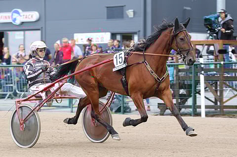 Cheri Sanen ravi on puhdasta ja vie pientä ruunaa eteenpäin vikkelästi ja sitkeästi. Arkistokuva: Anu Leppänen