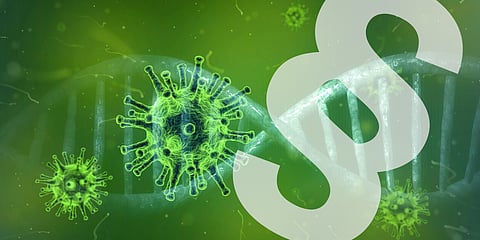 Ratsastuskoulutoiminta voi jatkua koossa 10+henkilökunta