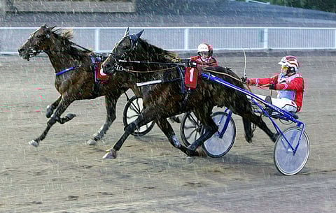 He Is Felixillä on omistajansa mukaan vielä rahaa tienattavanaan. Arkistokuva: Pekka Salonen