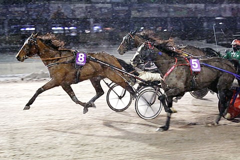 Jugador on hyvä varma Magic Mondayn Toto65-peliin.