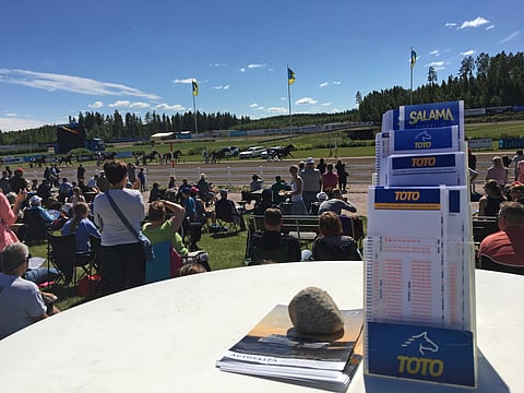 Naiset perustivat oman totokimpan. Kuvituskuva JU