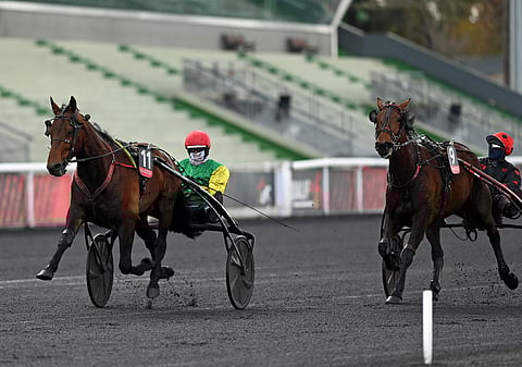 Davidson du Pont kirii ohi Délia du Pommereuxin. Kuva: Gerard Forni