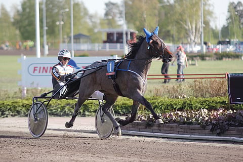 Redhot Tap Dancer on Porin Toto5-kierroksen varmin voittaja.