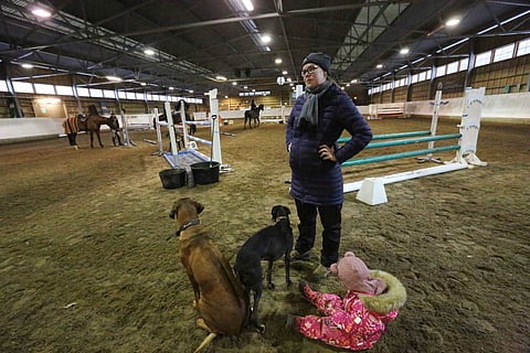 Siltakorpi-Jankarin perheeseen tulee pian lisäystä.