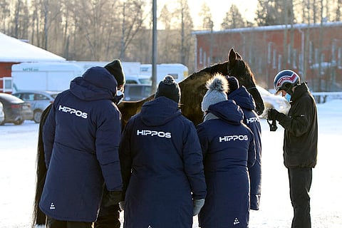 Paneelissa paljastui, mitä Mascate Matchin emä maksoi - Southwind Spiritille Jokimaalla esitettyjen oriiden parhaat pisteet