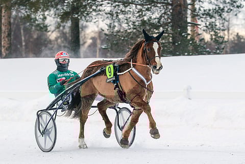 Siirin Älli starttasi viimeisen kerran 6.2. Oulussa. Se keräsi radoilta komean 278 245 euron voittosumman ja ravasi ennätyksekseen 21,2.