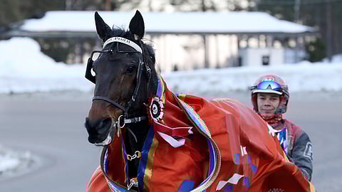 Thai Profit hakee neljättä peräkkäistä voittoa, nyt takakengät jalassa edelliskisoista poiketen.