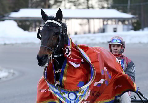Thai Profit loisti Kavioliiga Grand Prix'ssä 27. helmikuuta, muttei ole sen jälkeen kilpaillut.
