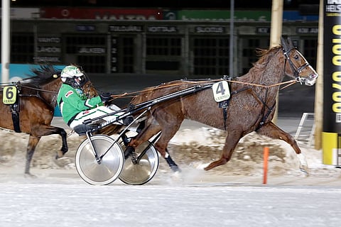Ari Moilasen vauhdikas ravi-ilta päättyi voittoon Bearwayn kyydissä.
