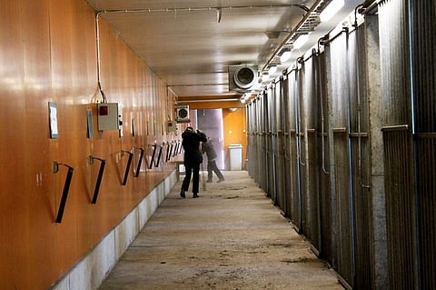 Kirjanpitoa pitopaikan hevosista on pidettävä pitopaikan koosta ja hevosten määrästä riippumatta. Arkistokuva.