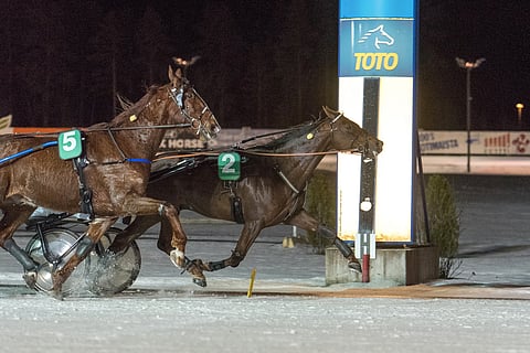 Voitot ovat kiertäneet Rebel Rapidia (2) sitten viime kesän. Reilu vuosi sitten Lappeen Magic Monday -illassa hevonen puristi ykköseksi. Arkistokuva: Seppo Toivari
