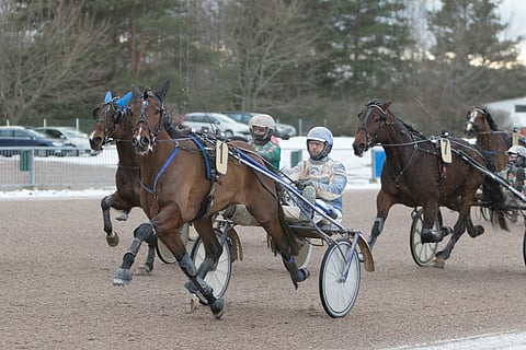 Sign Of Secret haastaa väkevästi maanantain Toto65-avauskohteessa Callela Lincolnin. Molemmat hevoset ovat kahdessa viime startissaan juosseet ykköstilalle. Arkistokuva: Roosa Lindholm