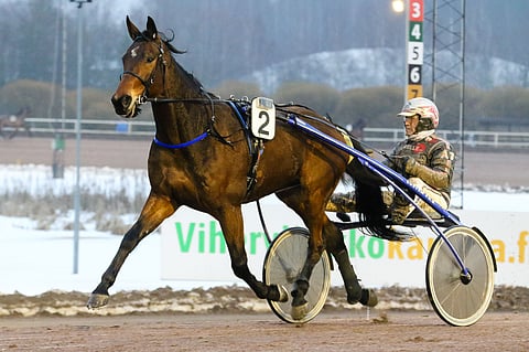 Suurimmalla voittosummalla, 23 525 euroa, Pilvenmäki Specialiin lähtee El Houdini.