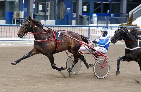 Grainfield Aiden pötki Kouvolan maalisuoraa vinhasti ja ohitti Hotshot Lucan. Kuva: Anu Leppänen.