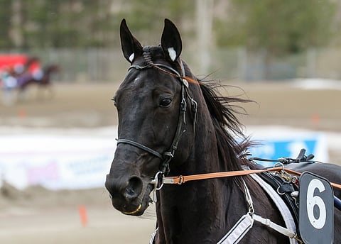 Hotshot Lucan oli määrä juosta lauantaina Seinåjoki Racessa, mutta nyt koko uran jatko on vaakalaudalla.