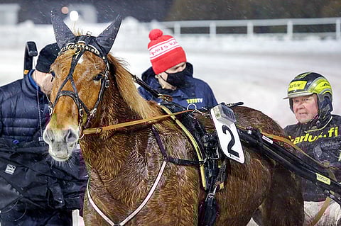 Hyvännäköinen on voittanut 53 kilpailustaan täyden tusinan. Arkistokuva: Pekka Salonen.