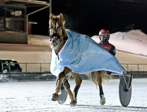 Lily sai voittoloimen selkäänsä toisen kerran kuluvan kauden aikana.
