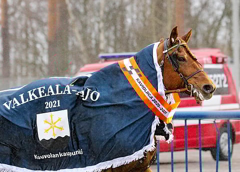 Lissun Eerikillä on hyvät edellytykset jatkaa voittokulkuaan Kaustisen Pelimanniajossa.