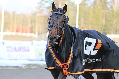 Way To Go jatkoi voittoputkessa myös GLi Grand Prixin finaalissa. Voitto irtosi hienolla ajalla 14,0ake.