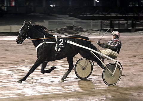 Antti Teivaisen ohjastama Marlon Dee on tehnyt parhaat juoksunsa keulapaikalta.