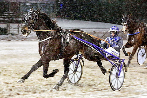 Mahatma Gee on ideavihjeessä päätöskohteen varma.