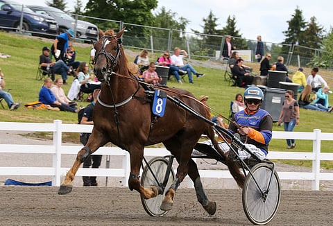 Tarunlennon kohdalla kääntämätön kortti on vielä ruunaus. "Mutta en ole vielä jutellut siitä sille", Juha Utala veistelee. Kuva: Anu Leppänen
