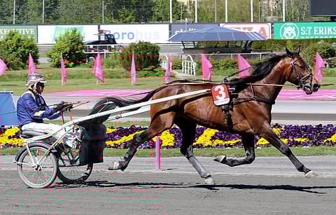 Click Baitilla on loistopaikka Östersundissa.